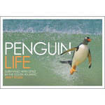 F&W Publications Book: Penguin Life: Surviving With Style in the South Atlantic by Andy Rouse, Tracey Rich 