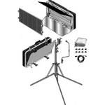 Lowel DEMO Caselite 4 Fluorescent One Light 3000K Kit (120VAC)