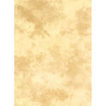 Lastolite Knitted Background - 10x12' (Arizona)