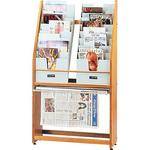 H. Wilson WMR16TN Wood Literature Display (27.5 x 54.5 x 12.25")