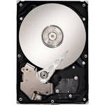 CalDigit 750GB Bare SATA Drive for CalDigit RAID Card