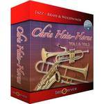 Best Service (East West) Chris Hein Horns Vol 1 Solo Instruments v1.5