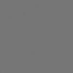 Rosco E-Colour #297 .4 Neutral Density (21x24" Sheet)