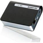 Iogear DVI Net Share Station