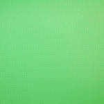 Savage Infinity Vinyl Background - 10 x 20' (Chroma Green)