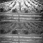 B+W 77mm 092 Infrared (IR) MRC (Multi-Resistant Coating) Glass Filter