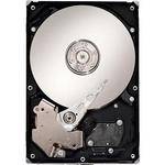 CalDigit 1.5TB Bare SATA Drive for CalDigit RAID Card