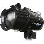 Fantasea Line Remora Flash