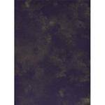 Savage #8 Infinity Hand Painted Muslin Background  (10 x 10') (Thebes)