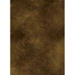Savage #14 Infinity Hand Painted Muslin Background  (10 x 10') (Naples)