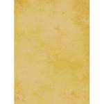 Savage #16 Infinity Hand Painted Muslin Background  (10 x 10') (Pisa)