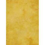 Savage #20 Infinity Hand Painted Muslin Background  (10 x 10') (Roma)