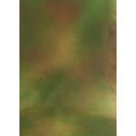 Botero #042 Rotary System Background 5x7' Green, Orange