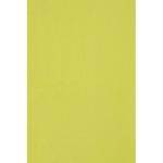 Backdrop-Alley BAM12COGRN  Solid Muslin Background (10x12', Spring Burst)