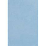 Backdrop-Alley Hand Painted Muslin Backdrop (10 x 12', Seaside Blue)