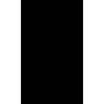 Backdrop-Alley BAPH24BLK  Premium Heavyweight Solid Muslin (10x24', Black)