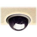 Bosch DUMMY FIXED DOME 5" IN CEILING MOUNT