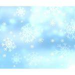 Westcott Scenic Background (5x6', Snowflake)