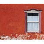 Westcott Scenic Background (5x6', Alley Window)