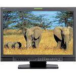JVC DT-V24L3DY 24" LCD Monitor