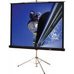 Buhl Projectors TPS-T70 Tripod Screen (80x80")
