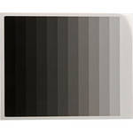 Kodak 8x10" Calibrated Photographic Gray Scale