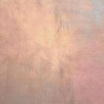 Westcott 5x6' Muslin Collapsible Background - Hazel Pastel