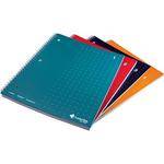 Livescribe Single Subject Notebook, 4-Pack, Numbers 1 through 4