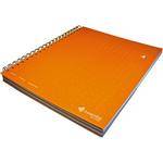 Livescribe Three Subject Notebook, Number 4, Orange