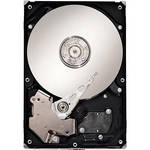 CalDigit 640GB Bare SATA Drive for CalDigit RAID Card