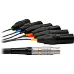 DPA Microphones DAO5110 Lemo multi-pin to 6 x XLR-M,  32.8' (10 m)