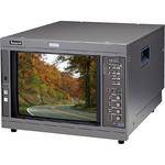 Ikegami HTM-1517-R 15" HDTV/SDTV Multi-Format Color Monitor