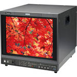 Ikegami HTM-1917-R 19" HDTV/SDTV Multi-Format Color Monitor