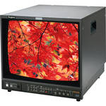 Ikegami HTM-2070-R 20" HDTV/SDTV Multi-Format Color Monitor