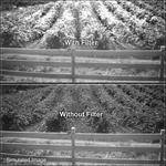 B+W 55mm Digital Pro 093 (87C) Infrared Glass Filter