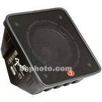 Fender FE1270 100-Watt Two-Way Passive Floor Monitor with 12" Woofer