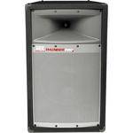 Atlas TP1200 THUNDER PRO 2 12" 2-WAY PA SPKR