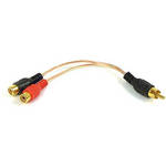 Belkin RCA Plug Y Adapter 
