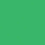 Rosco Fluorescent Lighting Sleeve/Tube Guard  (  #389 Chroma Green, 3' Long)