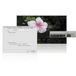 Digidesign Video Satellite LE - Video Playback Solution