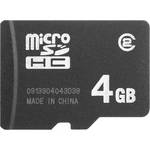 EasyStore 4GB microSD Card