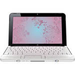 HP / Hewlett-Packard  Mini 110-1135NR Netbook Computer (Black)