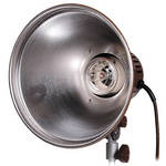 Speedotron M11 Light Unit with 11" Reflector (220VAC)