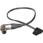 Anton Bauer PowerTap-20 - Cabo Powertap de 20 polegadas (50,8cm) para XLR de 4 pinos 