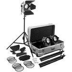 Arri Fresnel 1000W Three-Light Kit