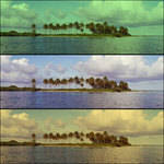 Hoya 58 mm Vario-PL Color Yellow/Green Special Effect Glass Filter