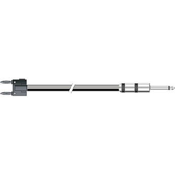 Pro Co Sound Excellines Banana to 1/4" Male Phone Speaker Cable (14 Gauge, 6')