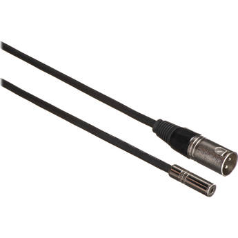 Comprehensive Mini Female to 3-Pin XLR Male Cable - 3'