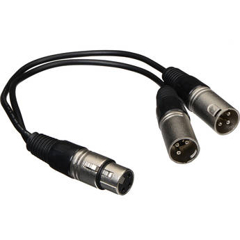 Comprehensive 3-Pin XLR Female to Two 3-Pin XLR Male Y-Cable - 1'