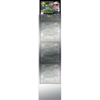 Dot Line S-00620/100 Plastines Envelopes (120 Format, 4-Strips, 100 Envelopes)